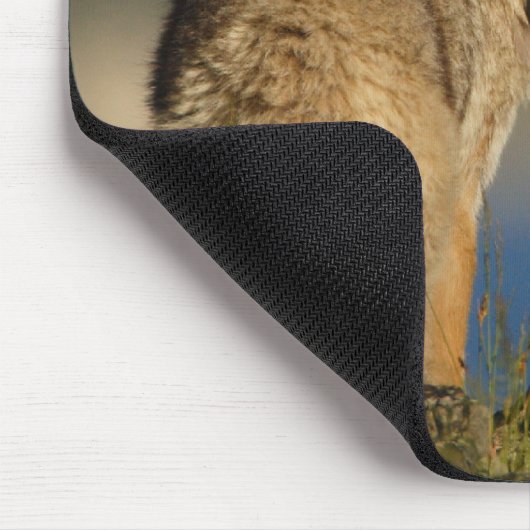 Coyote Muismat (Hoek)