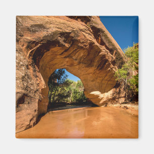 Coyote Natural Bridge - Coyote Gulch - Utah Magneet