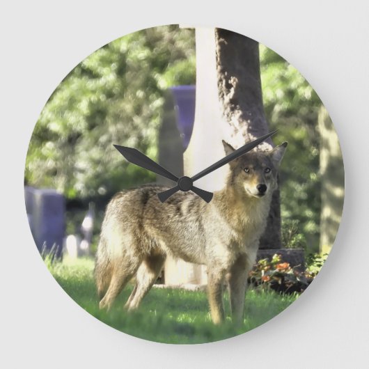 Coyote op het kerkhof grote klok (Voorkant)