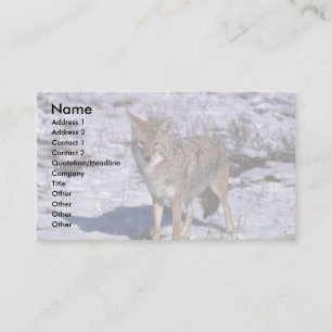 Coyote op sneeuw visitekaartje