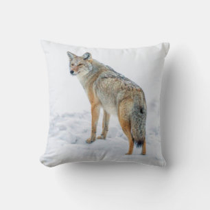 Coyote op zijn hoede in de sneeuw kussen