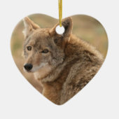 Coyote Ornament (Voorkant)