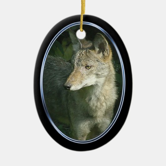 Coyote ovalen keramisch ornament (Voorkant)