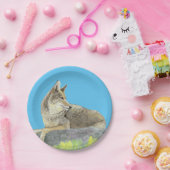 Coyote Papieren Bordje (Feest)