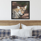 Coyote Portret Canvas Afdruk (Insitu (Slaapkamer))