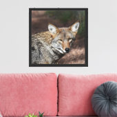 Coyote Portret Canvas Afdruk (Insitu (Woonkamer))