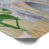 Coyote Poster (Hoek)