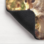 Coyote Pup Mousepad Muismat (Hoek)