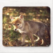 Coyote Pup Mousepad Muismat (Voorkant)
