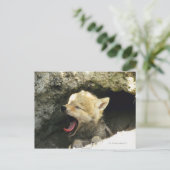 Coyote pup yawning briefkaart (Staand voorkant)