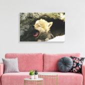 Coyote pup yawning canvas afdruk (Insitu (Woonkamer))