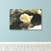 Coyote pup yawning canvas afdruk (Insitu (Houten vloer))