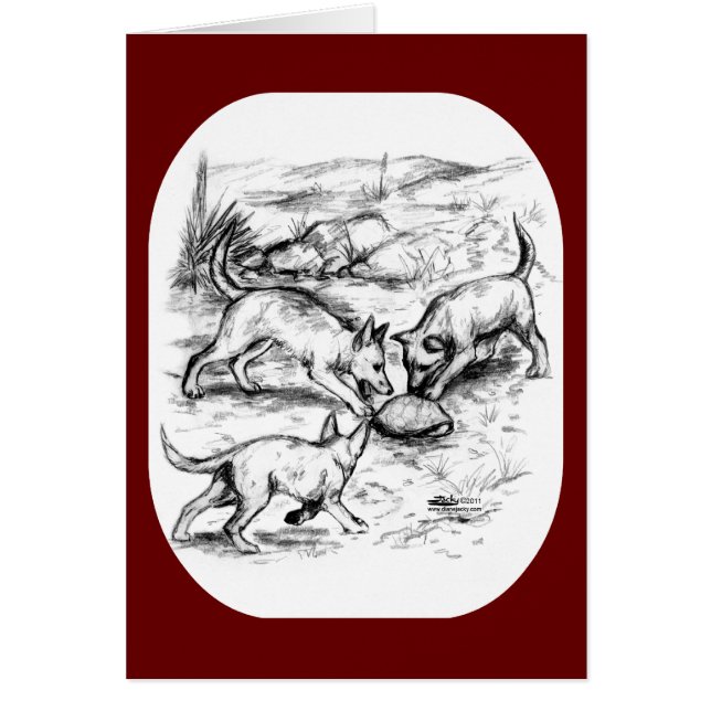 Coyote Pups (Voorkant)