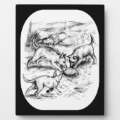 Coyote Pups Fotoplaat (Voorkant)