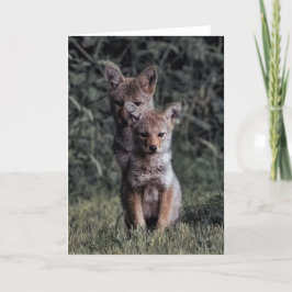 Coyote Pups - Hartelijk dank Bedankkaart