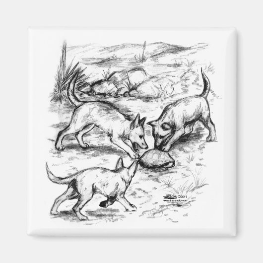 Coyote Pups Magneet (Voorkant)