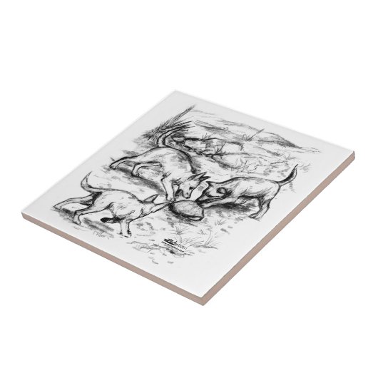 Coyote Pups Tegeltje (Zijkant)