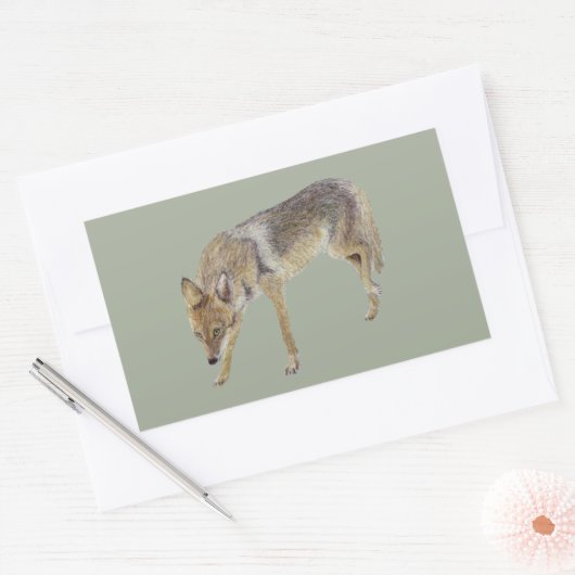 Coyote Rechthoekige Sticker (Envelop)