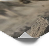 Coyote Roedel Poster (Hoek)