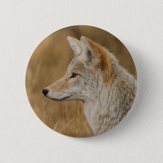 coyote ronde button 5,7 cm (Voorkant)