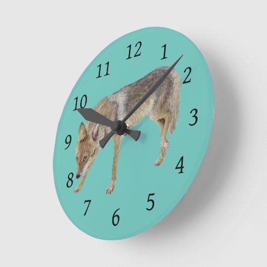 Coyote Ronde Klok (Hoek)