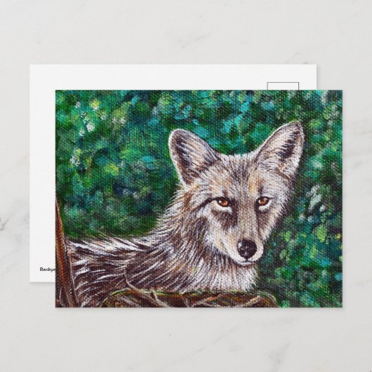 Coyote-schilderijen Briefkaart (Voorkant / Achterkant)