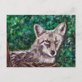 Coyote-schilderijen Briefkaart (Voorkant)