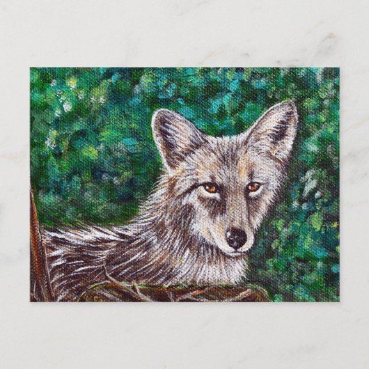 Coyote-schilderijen Briefkaart (Voorkant)