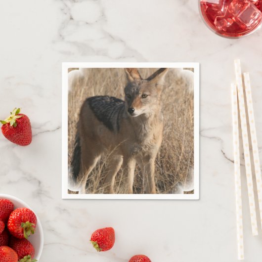 Coyote Servetten (Insitu)