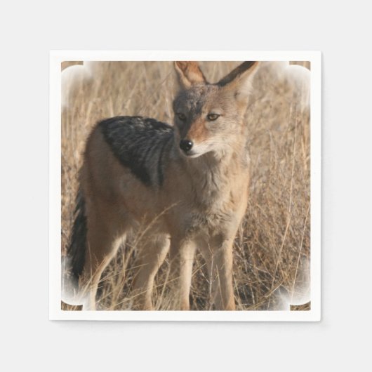 Coyote Servetten (Voorkant)