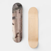 COYOTE Skateboard (Voorkant)