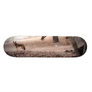 COYOTE Skateboard