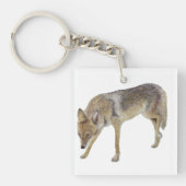 Coyote Sleutelhanger (Voorkant)
