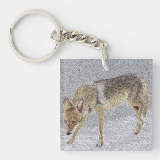 Coyote Sleutelhanger (Voorkant)