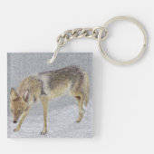 Coyote Sleutelhanger (Achterkant)