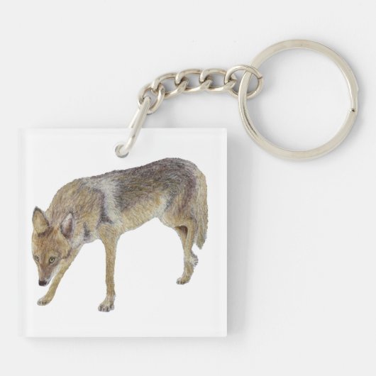Coyote Sleutelhanger (Achterkant)