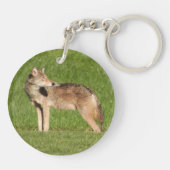 Coyote sluiten sleutelhanger (Achterkant)