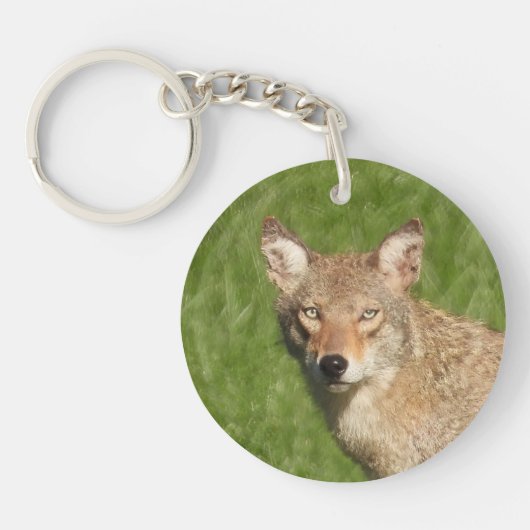 Coyote sluiten sleutelhanger (Voorkant)