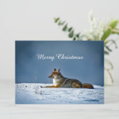 Coyote Sneeuw Foto Kerst Flat Feestdagenkaart (Staand voorkant)