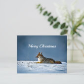 Coyote Snow - Kerstfeest Briefkaart (Staand voorkant)