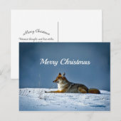 Coyote Snow - Kerstfeest Briefkaart (Voorkant / Achterkant)