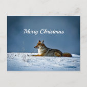 Coyote Snow - Kerstfeest Briefkaart (Voorkant)