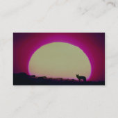 Coyote, Southwest, speciaal effect Visitekaartje (Achterkant)