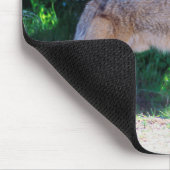 Coyote staat langs een weg muismat (Hoek)