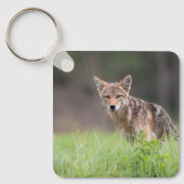 Coyote, Stille Weide Natuur Sleutelhanger (Voorkant)
