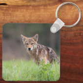 Coyote, Stille Weide Natuur Sleutelhanger (Achterkant)