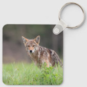 Coyote, Stille Weide Natuur Sleutelhanger (Achterkant)