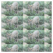 Coyote Stof (Swatch)