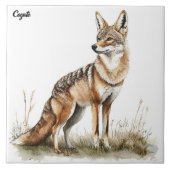 Coyote Tegeltje (Voorkant)
