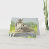 Coyote-Vaderdag kaart (Voorkant)